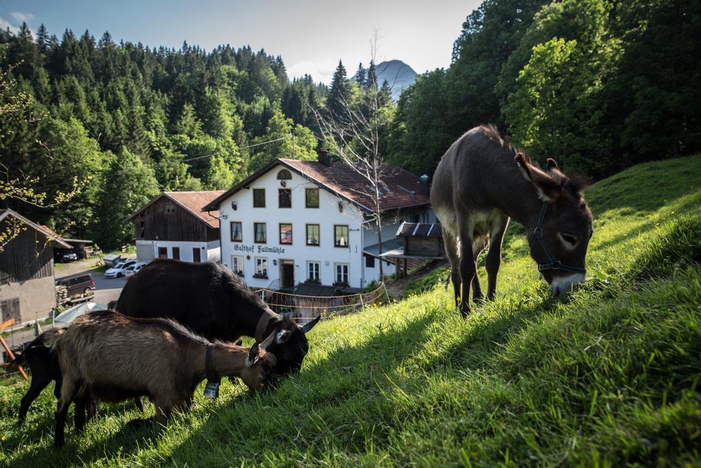 Gasthof Fallmuehle Pfronten Exterior photo