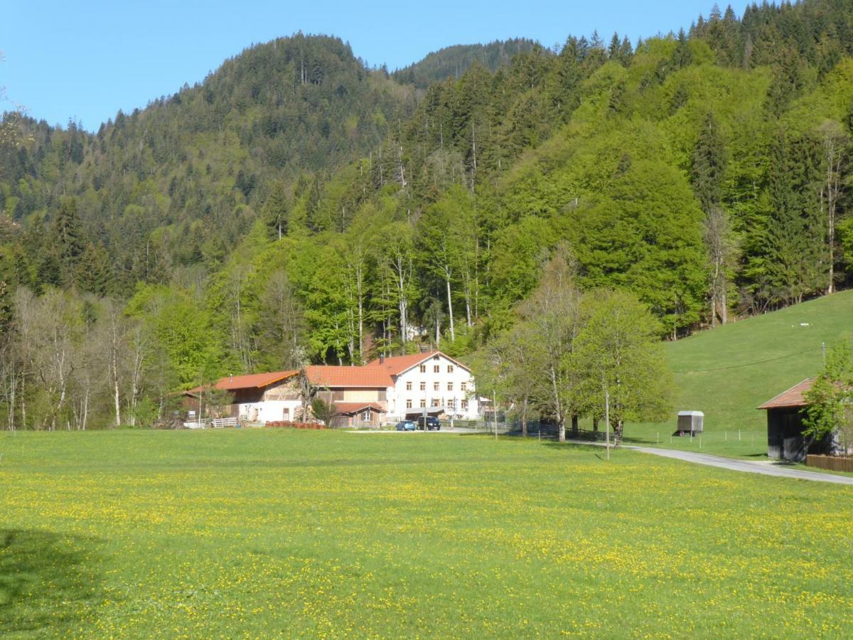 Gasthof Fallmuehle Pfronten Exterior photo